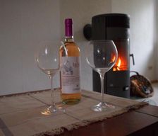 Germany TH Zeulenroda-Triebes vacation rental compare prices direct by owner 33699157