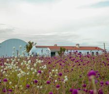 Portugal  Évora vacation rental compare prices direct by owner 36803490