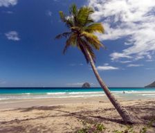 Martinique  Le Diamant vacation rental compare prices direct by owner 12843058