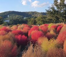 South Korea  Daegu vacation rental compare prices direct by owner 33607064