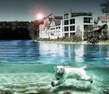 Switzerland Canton of Bern Bern vacation rental compare prices direct by owner 35134560