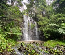 Australia New South Wales Nimbin vacation rental compare prices direct by owner 35543895