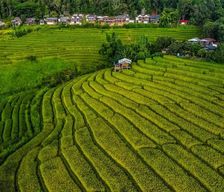 Thailand Chiang Mai Province Ban Mae Pan Noi vacation rental compare prices direct by owner 35848598
