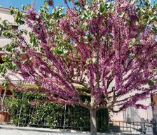 Italy  Vicchio vacation rental compare prices direct by owner 26885777