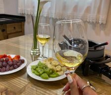 Brazil Santa Catarina Urubici vacation rental compare prices direct by owner 32463401