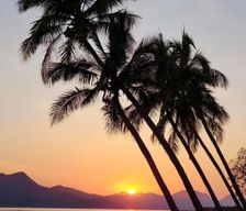 Australia Queensland Cardwell vacation rental compare prices direct by owner 13802204