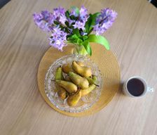Poland Podkarpackie Rzeszów vacation rental compare prices direct by owner 35490435