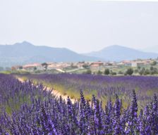Spain Castile and Leon Moratalla vacation rental compare prices direct by owner 4763524