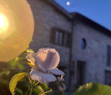 Italy Marche Camerino vacation rental compare prices direct by owner 35592472