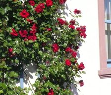 Germany Hessen Sinntal vacation rental compare prices direct by owner 33697905