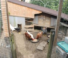 Germany Baden-Württemberg Rust vacation rental compare prices direct by owner 5107276
