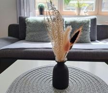 Germany  Nohfelden-Selbach vacation rental compare prices direct by owner 33695154