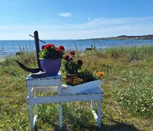 Norway Troms og Finnmark Ytre Kiberg vacation rental compare prices direct by owner 35342692