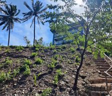 Philippines Mindoro Puerto Galera vacation rental compare prices direct by owner 35531099