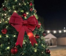 South Korea Jeollanam-Do Ch'usŏng-ni vacation rental compare prices direct by owner 35413626