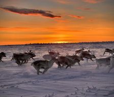 Norway Troms og Finnmark Kautokeino vacation rental compare prices direct by owner 35489149