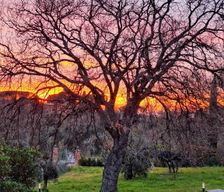Italy Lazio Frascati vacation rental compare prices direct by owner 13417246