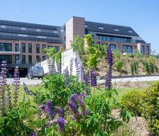 Belgium East-Flanders Brakel vacation rental compare prices direct by owner 33653428