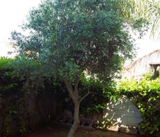 Italy Apulia Pulsano vacation rental compare prices direct by owner 8402248