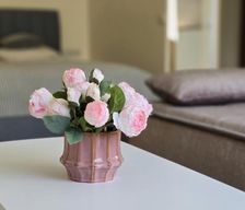 Lithuania Panevėžys county Panevėžys vacation rental compare prices direct by owner 35351475