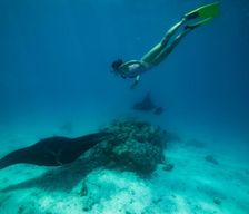 French Polynesia  Tikehau vacation rental compare prices direct by owner 12678874
