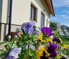 Poland Silesia Cisiec vacation rental compare prices direct by owner 35239665