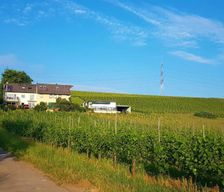Germany Rhineland-Palatinate Riol vacation rental compare prices direct by owner 4967941