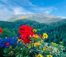 France  Saint-Pierre-d'Entremont vacation rental compare prices direct by owner 33703377