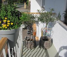 Germany Bavaria Trunkelsberg vacation rental compare prices direct by owner 27737686