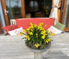 Netherlands Noord-Holland Weesp vacation rental compare prices direct by owner 17746136