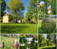 France Languedoc-Roussillon Meyrueis vacation rental compare prices direct by owner 15291211
