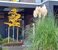 Germany Lower-Saxony Friesoythe vacation rental compare prices direct by owner 13020768