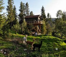 Norway Viken Holo vacation rental compare prices direct by owner 35682806