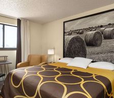 United States Kansas Dodge City vacation rental compare prices direct by owner 12682038