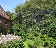 Germany  Pellworm vacation rental compare prices direct by owner 36846895