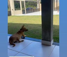 Brazil Pará Salinópolis vacation rental compare prices direct by owner 35653027