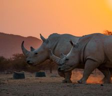 Namibia  Vingerklip vacation rental compare prices direct by owner 26336858