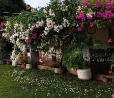 Colombia  Santa Marta vacation rental compare prices direct by owner 15152522