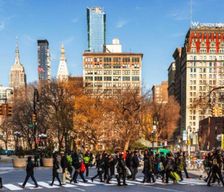 United States New York New York vacation rental compare prices direct by owner 35446920