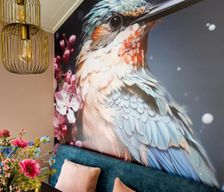 Netherlands Overijssel Haarle vacation rental compare prices direct by owner 37645840