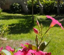 Italy Campania Paestum vacation rental compare prices direct by owner 7510188