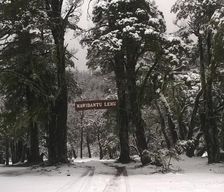 Chile Nuble Las Trancas vacation rental compare prices direct by owner 35766652