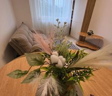 Romania  Fălticeni vacation rental compare prices direct by owner 37648809