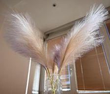 Republic of North Macedonia  Skopje vacation rental compare prices direct by owner 36878456