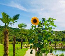 Croatia  Pihovec vacation rental compare prices direct by owner 13777298