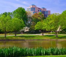 United States Virginia Falls Church vacation rental compare prices direct by owner 35091713