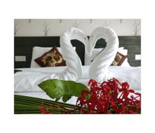 Maldives  Dhiffushi vacation rental compare prices direct by owner 36806956