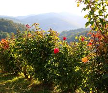 Slovakia  Jalovec vacation rental compare prices direct by owner 27856308