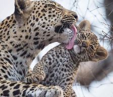 Sri Lanka Hambantota District Tissamaharama vacation rental compare prices direct by owner 35363186