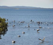 Australia Western Australia Denmark vacation rental compare prices direct by owner 13847946